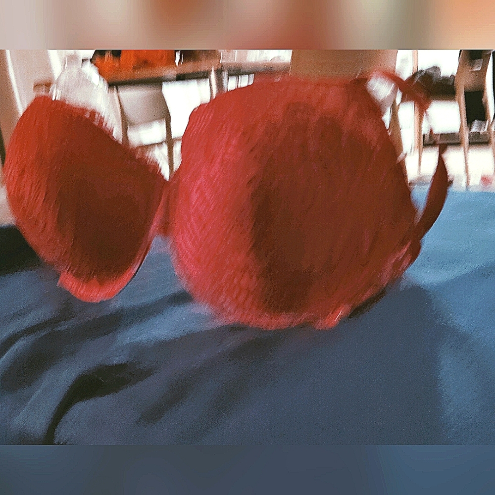 Danskin Intimates Brassiere/42D